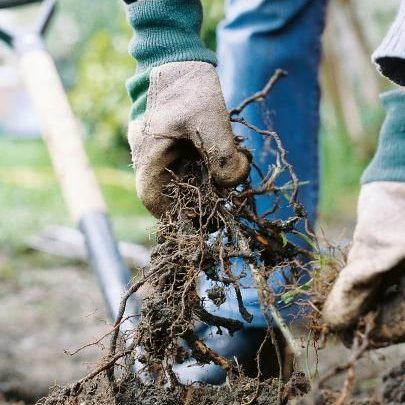 Preparing Your Garden For Winter 17