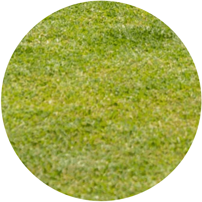 lawn circle